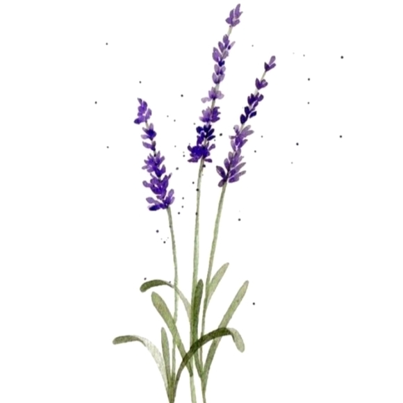 Meet your Posher, Kirsten - Picture 1 of 1